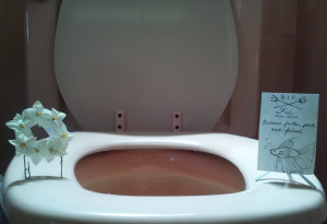 From 101 Funny Pictures: RIP Fish ~ My fish died when I wasn’t home ...