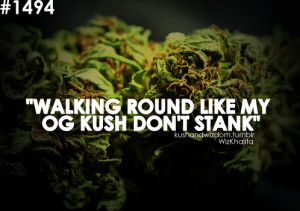 Tagged: og kush stanky kushandwisdom kush 42 weed budd shit dont stink