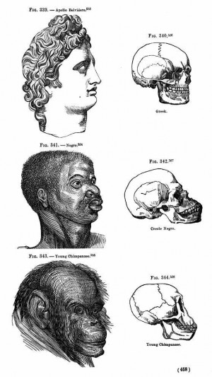Crude historical depictions of African Americans as ape-like may have ...