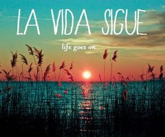 in collection: ||~Frases~||