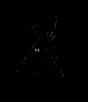 Quotes Picture: try the idgaf diet, it really works! you feel the ...