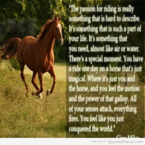 Quotes About Riding Horses