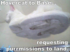 hovercat to base do you read me