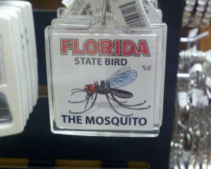 Florida_State_Bird_funny_picture