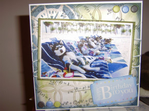 Funny Girlfriend Birthday Card. Clever Happy Birthday Sayings. View ...