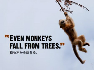 monkey quotes . funny monkey image and wallpaper . funny monkey ...