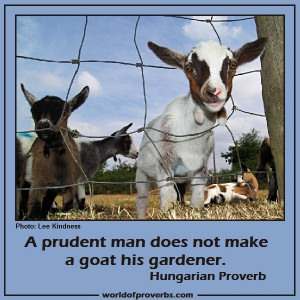 World of Proverbs - Famous Quotes: A prudent man does not make the ...