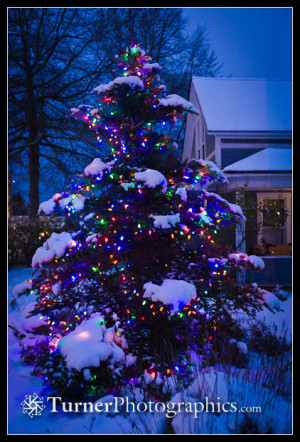 glitter christmas tree tree snowy christmas tree with snowy xmas tree ...