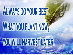 Dont Wait For The Perfect Moment. Appreciation Quotes For Boss. View ...