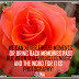 photography+quotes+roses+quotes+orange+rose+beautifull+quotes+about ...