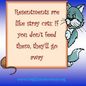 ... Quotes, Clear Resentment, Feeding, Living, Stray Cat, Inspiration