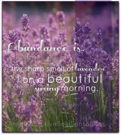 Smell of Lavender