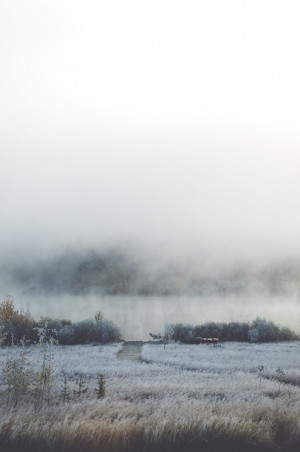 pretty winter film cold Cool lake landscape fall fog 50mm frost
