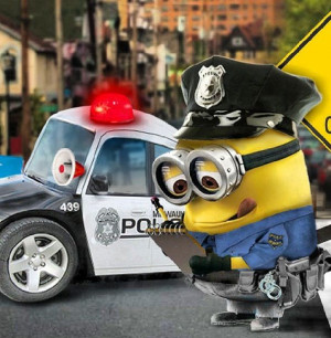 Police Offices, Stuff, Police Wife, Funny, Minions Police, Police ...