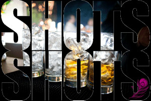 party quotes on Tumblr