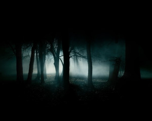 fog, forest, gloomy, mist, moonlight, moonlit, night