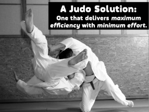 judo solution: one that delivers maximum efficency with minimum effort ...
