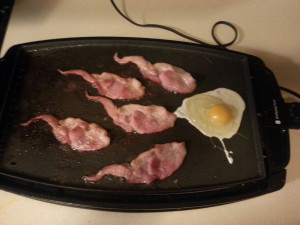 Spermatozoïde bacon vs Ovule Oeuf
