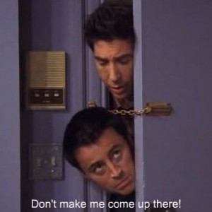 Joey and Ross Friends tv show Funny quotes
