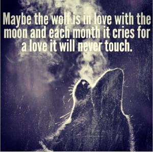 Wolf Love Quotes Love! #wolf #love #quotes