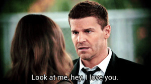 The ABCs of Booth and Brennan, a TV Romance to Die For