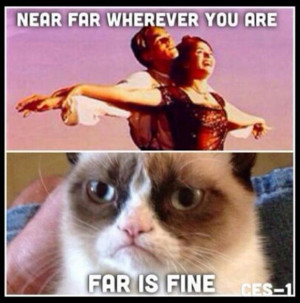 Grumpy Cat Meme Titanic Grumpy cat quotes titanic
