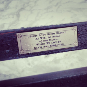 Central Park Bench