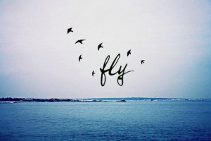 ... quotes quote words word saying sayings freedom fly away quotes