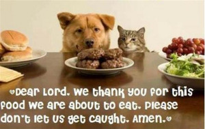 Funny Dog Thank You Thank you, lord
