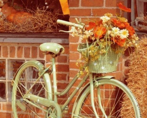 green polka-dot bike and fall flowers by ester