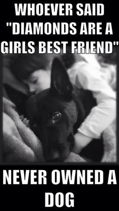 ... diamonds dogs pet black german shepherd german shepherd dog quotes