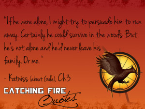 Catching Fire quotes 21-40 - the-hunger-games Fan Art