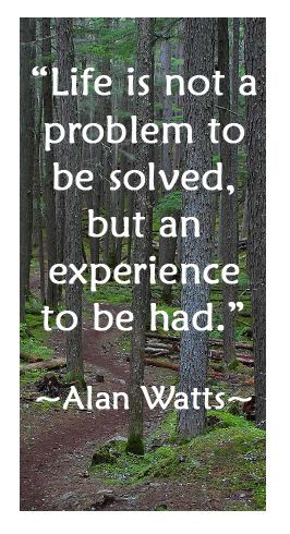 alan watts quotes | alan watts