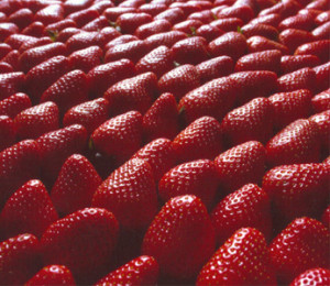 Sweet Darling Strawberry...