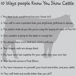 10 ways you know you show cattle
