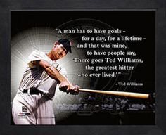 Ted Williams Boston Red Sox