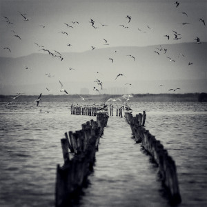 Our Journey Together Poems About Life And Love Quotes