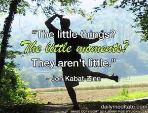 Meditation Quote 35 The little things The little moments They