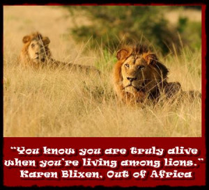 You know you are truly alive when you’re living among lions ...