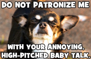 Don't patronize this dog Image via Chihuahua Ha Ha on Facebook at www ...