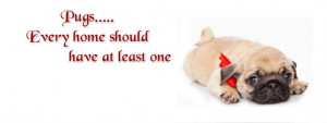 Pug Facebook Cover Photo For Your Timeline. Pug Quotes: Pugs....Every ...