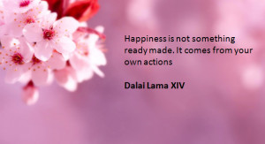 Dalai Lama - happiness