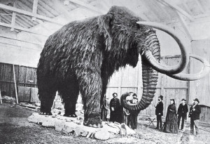 Brief History Of: Cloning