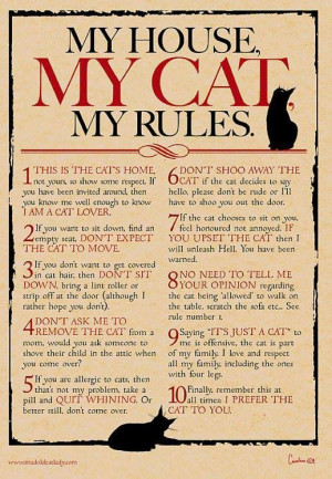 MY HOUSE MY CAT MY RULES