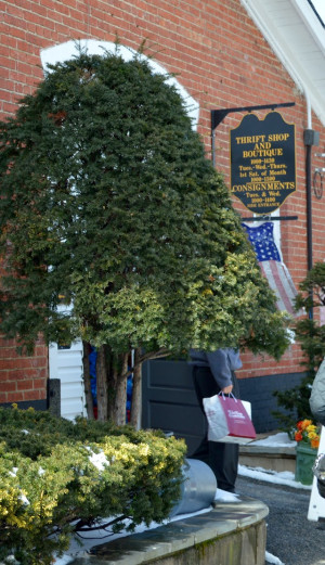 Thrifting in Arlington Virginia