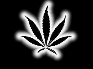All Graphics » black and white weed