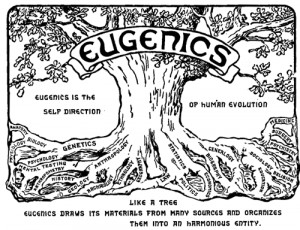 Eugenics Main Page | Photos | Artifacts | Participant Accounts