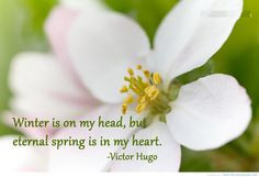 Springtime Quotes For Signs ~ Signs of Spring | In Our Backyard