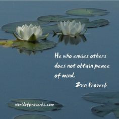 Famous Quotes By Zen Proverb ~ Spiritual Insights