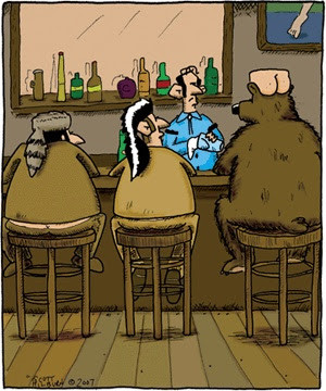 Funny Skunk Raccoon Man Butt Skin Hunting Bar Drink Cartoon Picture ...